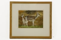 Lot 1566 - Maurice Wilson (1914-1987)
TWO FAWNS
Signed l.r.