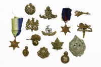 Lot 131 - A collection of twelve cap badges