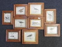 Lot 474A - A collection of nine 19th Century bird’s eye maple framed prints of animals