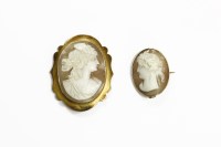 Lot 250 - A gold mounted shell cameo brooch