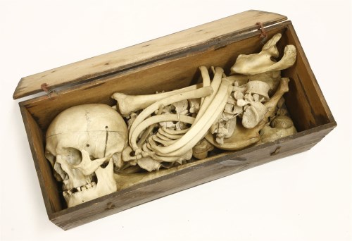 Lot 66 - An human skeleton