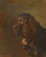 Lot 77 - Frank Paton (1856-1909)
A STUDY OF A SPANIEL 
Signed and dated 1888 l.l.