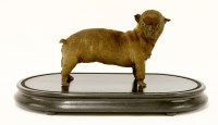 Lot 163 - A taxidermy specimen of a puppy