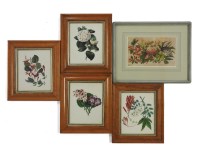 Lot 310 - A collection of four fine watercolours of flower studies