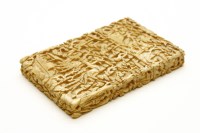 Lot 80 - A 19th century Chinese carved ivory card case. 11.5 x 8cm