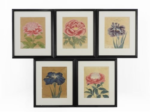 Lot 323 - Five hand coloured prints of flowers