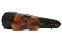 Lot 186 - A violin in an ebonised case