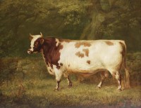 Lot 462 - Gourlay Steell RSA (1819-1894)
AN AYRSHIRE BULL
Signed and dated 1865 l.r.