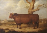 Lot 463 - Gourlay Steell RSA (1819-1894)
A DEVON BULL
Signed and dated 1841 l.r.