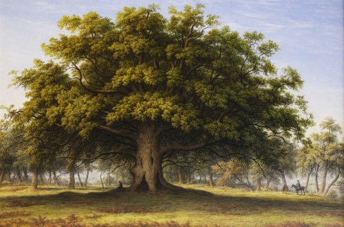 Lot 439 - John Glover OWS (1767-1849)
'THE BEGGAR'S OAK'
Oil on canvas
76 x 114cm

The celebrated Beggar's Oak stood on Lord Bagot's estate at Blithfield Hall in Staffordshire.  In 'The Trees of Great Britain a