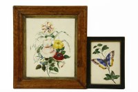 Lot 485 - An early 19th century watercolour study of a butterfly