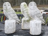 Lot 1077 - A Parliament of life size Barn owls