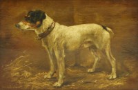 Lot 67 - J... B....C... (20th century)
STUDY OF A FOX TERRIER
Signed and dated '1906' l.l.