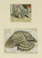Lot 89 - Charles Frederick Tunnicliffe RA (1901-1979) 
PEREGRINE AND GOSHAWK
Watercolour and bodycolour
8 x 10cm and 11 x 15cm