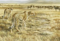 Lot 143 - Andrew Ellis (b.1968)
CHEETAH
Signed and dated '93' l.r.