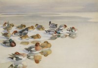 Lot 121 - Philip Rickman (1891-1982)
DUCKS
Watercolour
62 x 83.5cm

*Artist's Resale Right may apply to this lot.