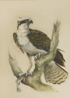 Lot 110 - Norman Orr (1924-1993)
OSPREY WITH FISH
Signed and dated '69' l.r.