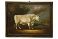 Lot 455 - A STUDY OF A BULL