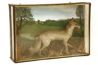 Lot 594 - A taxidermy fox in large display case with painted hunting diorama