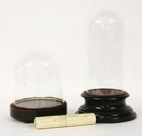 Lot 181 - Two glass domes on turned wooden stands