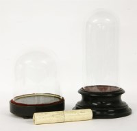 Lot 181 - Two glass domes on turned wooden stands