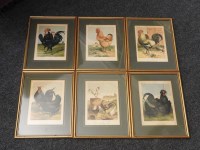Lot 462 - Sixteen framed lithographic pictures of varieties of chickens