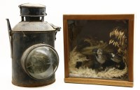 Lot 463 - Taxidermy birds in glazed display case