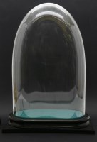 Lot 430 - A large glass dome on ebonised base