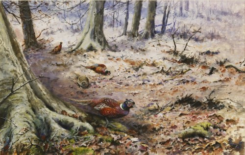 Lot 746 - George Edward Lodge (1860-1954)
PHEASANTS IN A WINTER WOODLAND
Signed and dated 1950 l.r.