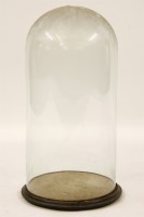 Lot 405 - One large Victorian glass dome