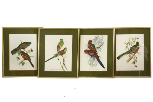 Lot 351 - 4 modern coloured ornithological prints