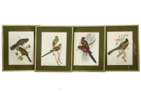 Lot 351A - 4 modern coloured ornithological prints