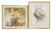 Lot 342 - Susan Shaw (b.1941)
'RED COW PARSLEY';
'PEAR BLOSSOM'
Two