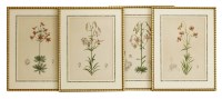 Lot 345 - Four botanical prints with applied watercolour
LILIUM KELLOGGII;
LILIUM OCCIDENTALE;
LILIUM BOLANDERI;
LILIUM LANKONGENSE
each 5 x 36cm (4)