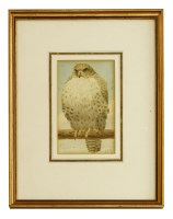 Lot 335 - Henry Stacy Marks (1829-1898)
STUDY OF A GOSHAWK
Signed with initials l.r.