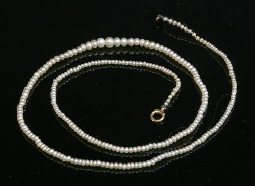 Lot 70 - A single row graduated seed pearl necklace