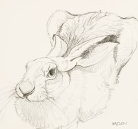 Lot 336 - Andrew Haslen (b.1953)
STUDY OF A HARE
Signed l.r.