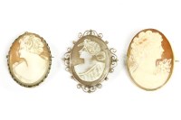 Lot 29 - A gold shell cameo brooch