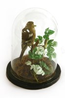 Lot 375 - Taxidermy: Chaffinch in a naturalistic setting
