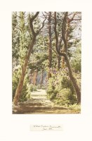 Lot 330 - Eliza Riley Sandys (late 19th century)
TEN VIEWS OF BOURNEMOUTH:
THE HIVE;
HOLY TRINITY CHURCH;
MEYRICK ROAD;
TALBOT WOODS;
WESTOVER GARDENS;
two views of ST PETER'S CHURCH;
and three views of BRANKSO