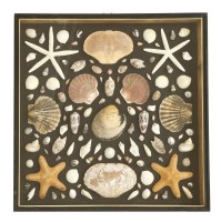 Lot 387 - A wall hanging case of sea shells