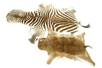 Lot 378A - A zebra skin