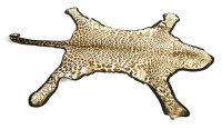 Lot 225 - A leopard skin