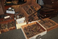 Lot 242 - Five boxes of wooden furniture knobs and handles