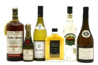 Lot 208 - A quantity of white wine and spirits