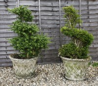 Lot 542 - A pair of composition planters