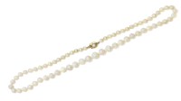Lot 323 - A single row graduated opal bead necklace
