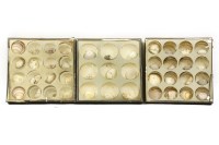 Lot 491 - Three glazed cases of shells
