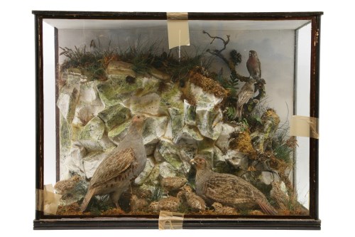 Lot 483 - A Victorian stuffed and mounted diorama