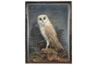 Lot 493 - A Victorian stuffed and mounted owl